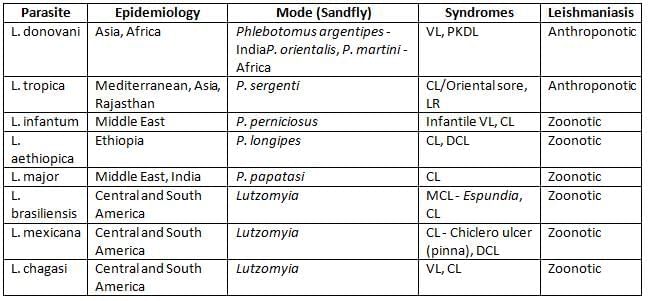 Flagellates Chapter Notes | Microbiology - NEET PG