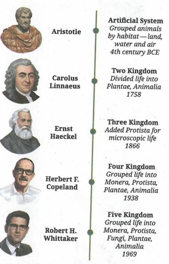 Five Kingdom System - Robert H. Whittaker (1969)