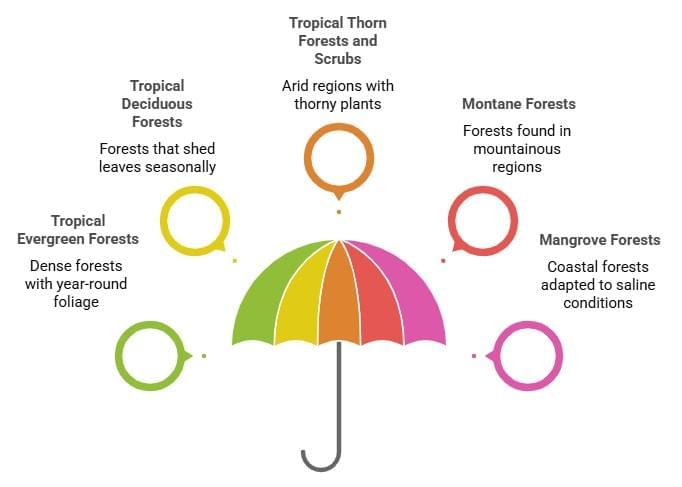 Class 9 Geography Chapter 5 Notes - Natural Vegetation and Wildlife