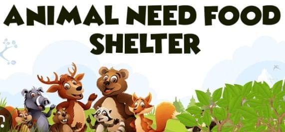 Animals- Food and Shelter - 1 Class 1 Worksheet Science