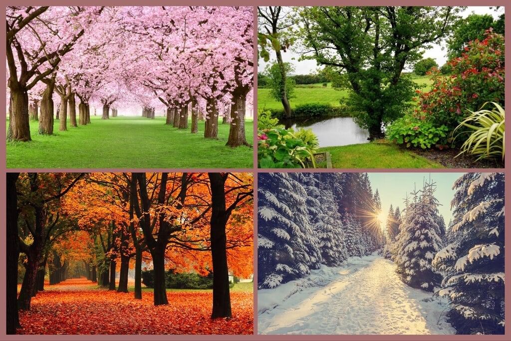 Speaking Part 1: Sample Topic- Weather | Speaking for IELTS