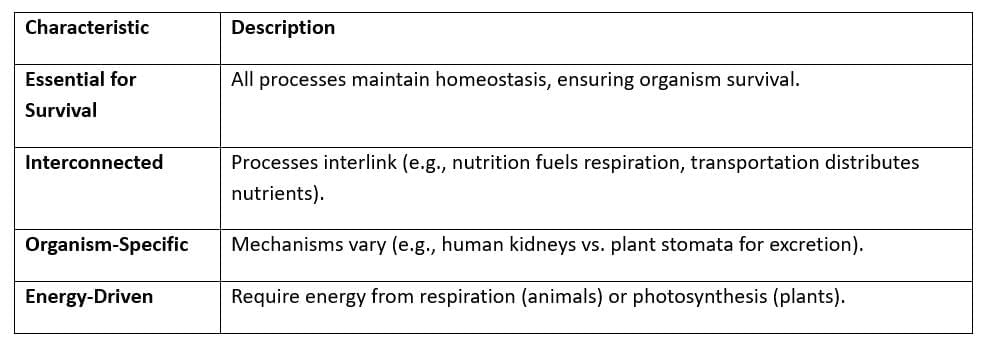 Cheat Sheet: Life Processes | Science Class 10