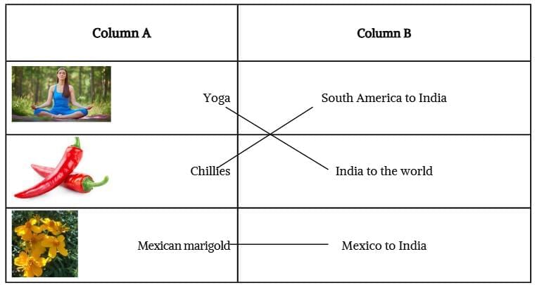 Unit Test (Solutions): Earth — Our Shared Home | Our Wondrous World  Class 5 - New NCERT