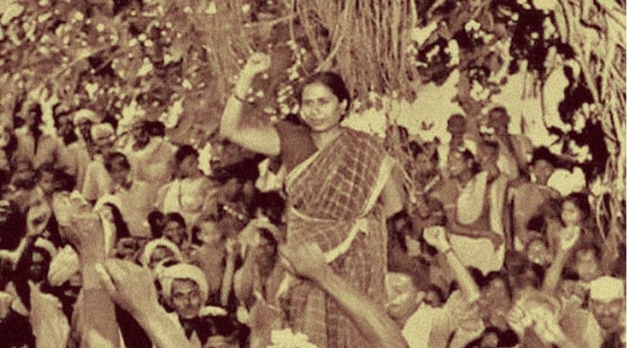 Warli Revolt 