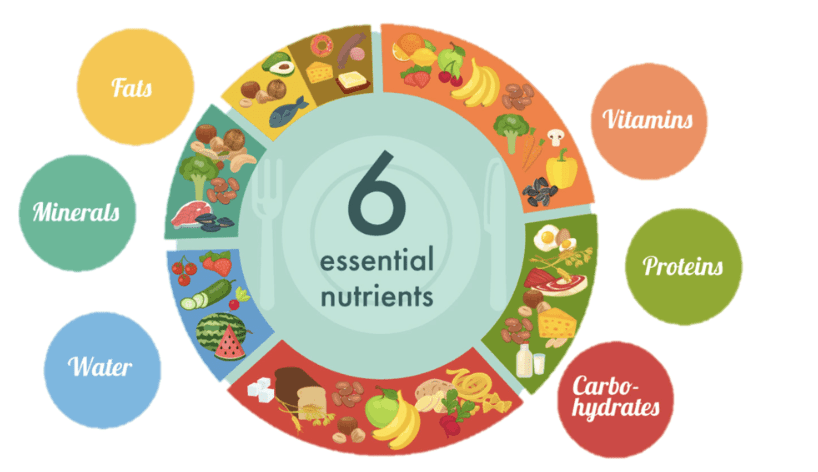 Sources of Nutrients and Deficiency diseases | Famous Books for UPSC Exam (Summary & Tests)