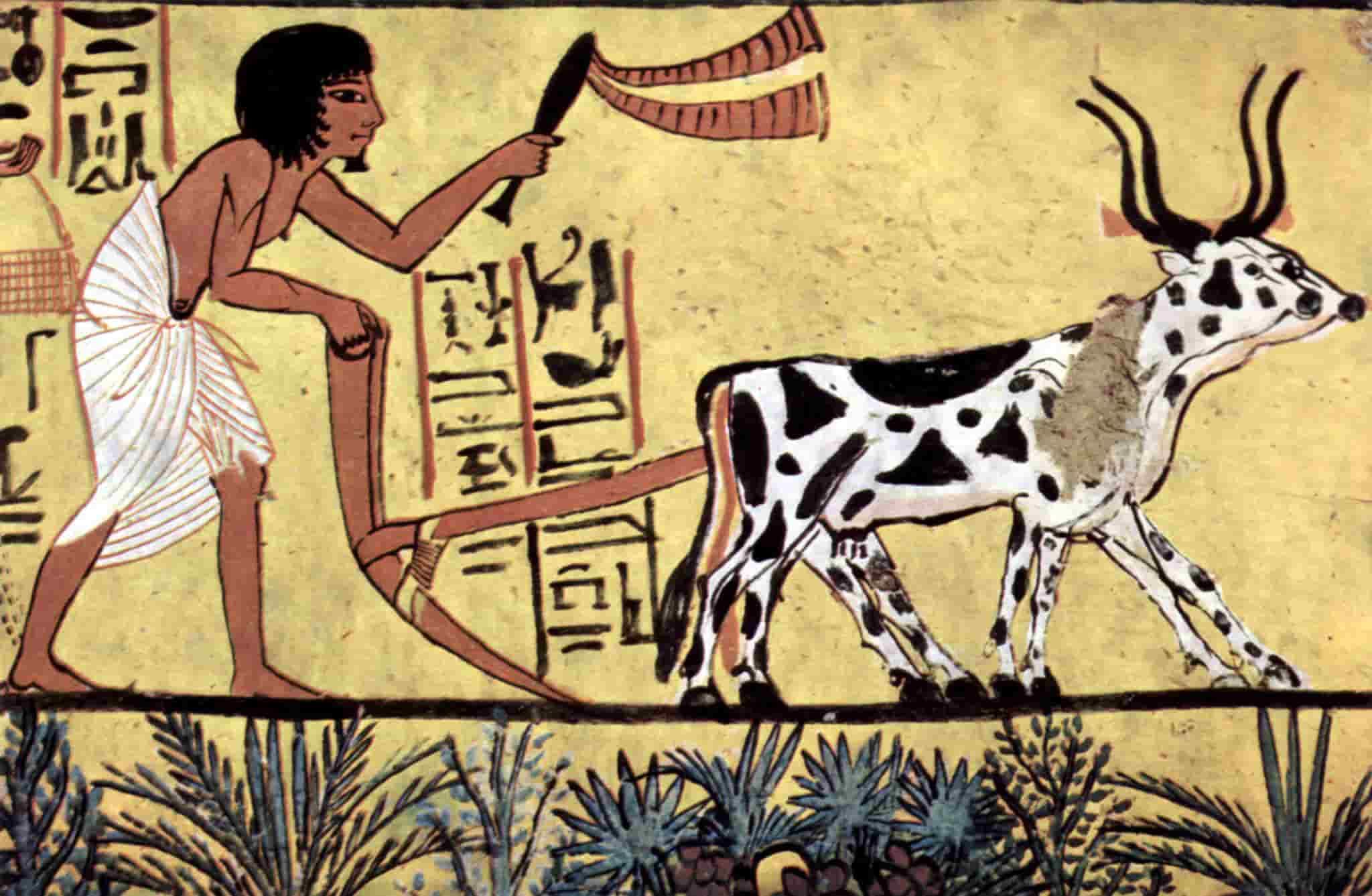 Mesolithic Period
