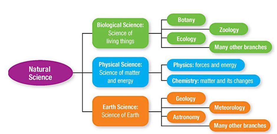 Branches of Science | General Awareness - Bank Exams