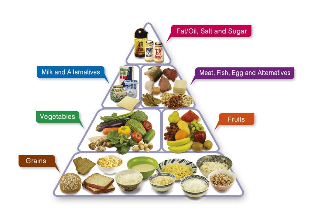 Balanced Diet for a human being | General Awareness - Bank Exams