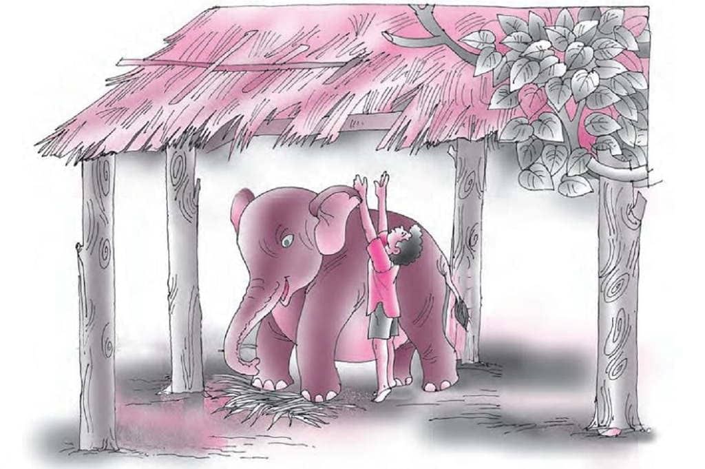 NCERT Solutions for Class 7 English - Bringing Up Kari