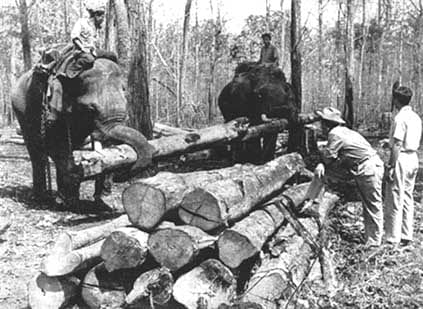 Converting sal logs into sleepers 