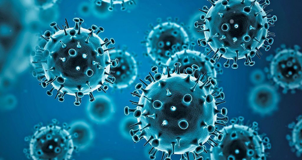 Influenza virus