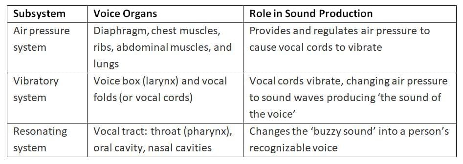 Bringing Words Alive—Play Reading Chapter Notes | Arts  (Kriti) Class 8 - New NCERT