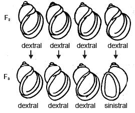 Genetics, Class 12, Biology | General Awareness - Bank Exams