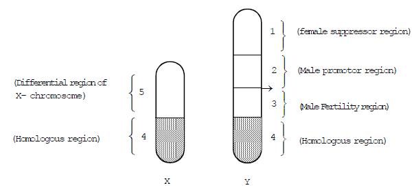 Genetics, Class 12, Biology | General Awareness - Bank Exams