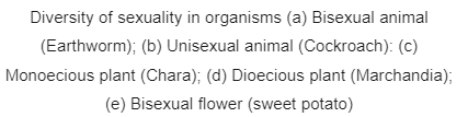 Sexual Reproduction | Biology for Grade 12