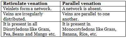 NCERT Notes: Morphology of Flowering Plants | NCERTs at Fingertips: Textbooks, Tests & Solutions - NEET