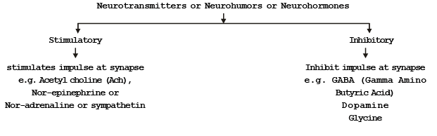Transmission of Nerve Impulses | Biology Class 11 - NEET