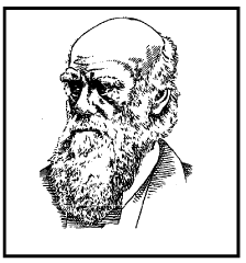 Theories of Organic Evolution (Part - 1) - Notes, Botany, Class 12