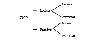 Immunity & Human Immune System | Biology for Grade 12