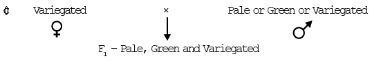 Genetics, Class 12, Biology | General Awareness - Bank Exams