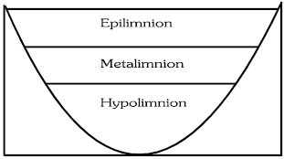 Abiotic Factors & Responses to Abiotic Factors | Biology for JAMB