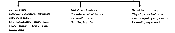 Enzymes & Factors Affecting Respiration | Biology for ACT