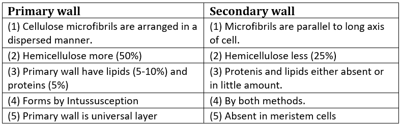 Cell Wall, Cell Membrane and Endomembrane System | Biology Class 11 - NEET
