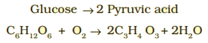 Enzymes | Biochemistry for MCAT