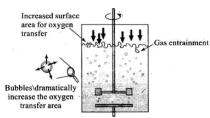 NCERT Exemplar: Biotechnology: Principle & Processes | Biology Class 12 - NEET