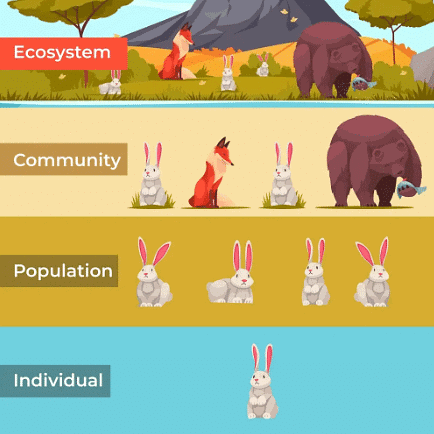 Organisms and Population Chapter Notes | Biology Class 12 - NEET