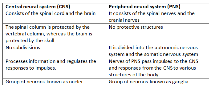 Neural Control & Coordination NCERT Solutions | Biology Class 11 - NEET