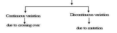 Genetics, Class 12, Biology | General Awareness - Bank Exams