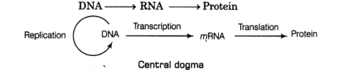Genetic Material | Biology for ACT