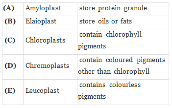 NCERT Exemplar: Transport in Plants (Old NCERT) | Biology for Grade 11