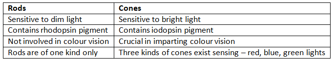 Neural Control & Coordination NCERT Solutions | Biology Class 11 - NEET