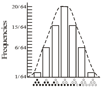 Polygenic Inheritance - Principles of Inheritance and Evolution, Biology, Class 12