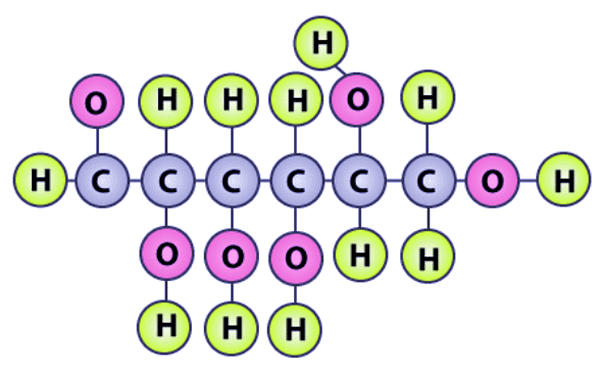 NCERT Solutions Class 11 Biology Chapter 9 - Biomolecules