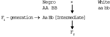 Polygenic Inheritance - Principles of Inheritance and Evolution, Biology, Class 12