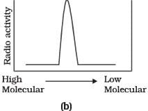 NCERT Exemplar: Molecular Basis of Inheritance - 2 | Biology Class 12 - NEET
