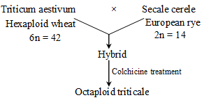 Hybridization | Additional Study Material for NEET