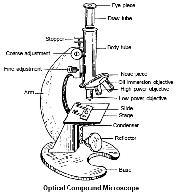 TOOLS AND TECHNIQUE IN CYTOLOGY( Part - 1) - Notes, Zoology; Class 11