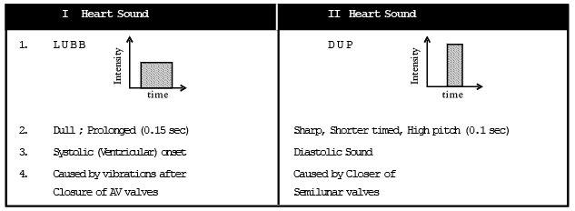 Cardiac Cycle & ECG | Biology A-Level - A Level