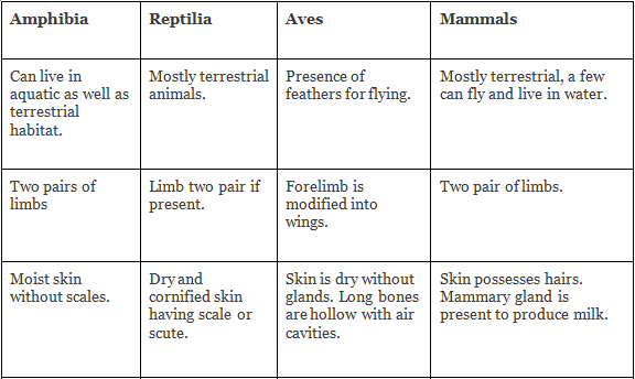 NCERT Notes: Animal Kingdom | NCERT Textbooks, Tests & Solutions - NEET