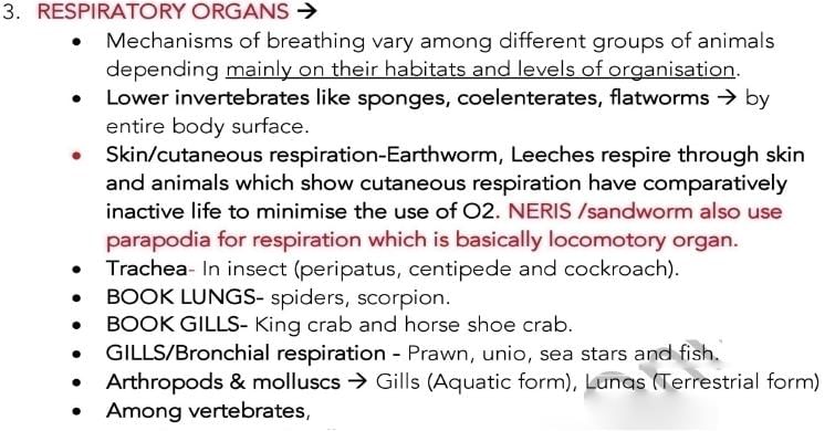 Key Notes: Breathing & Exchange of Gases - NEET