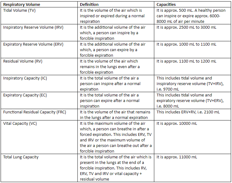 Breathing and Exchange of Gases Chapter Notes | Biology Class 11 - NEET