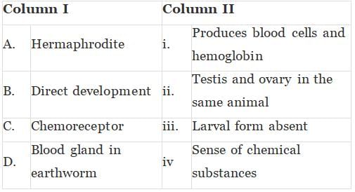 NCERT Exemplar: Structural Organisation in Animals | Biology Class 11 - NEET