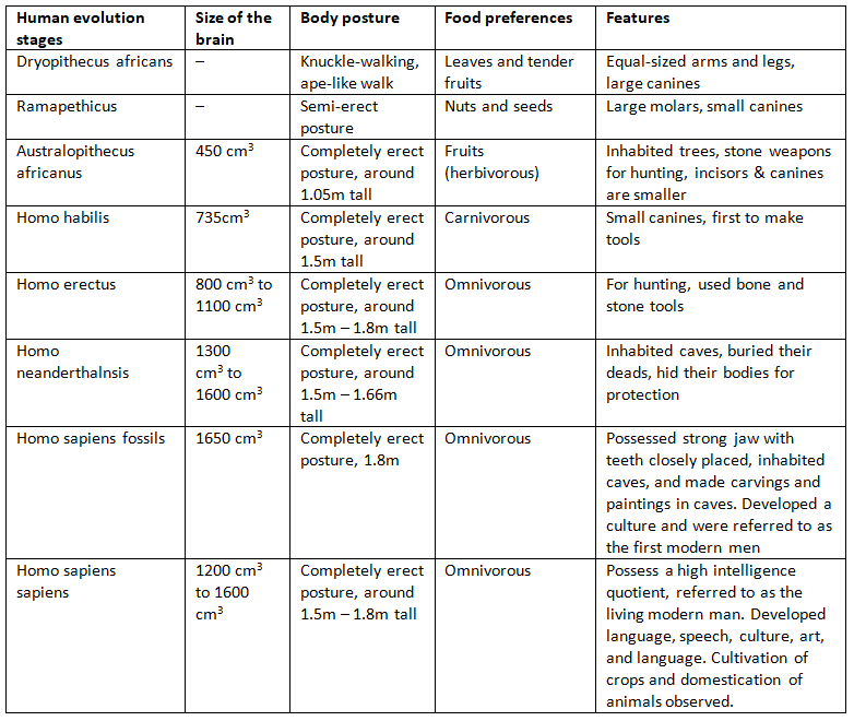 NCERT Solutions Class 12 Biology Chapter 6 - Evolution