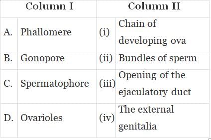 NCERT Exemplar: Structural Organisation in Animals | Biology Class 11 - NEET