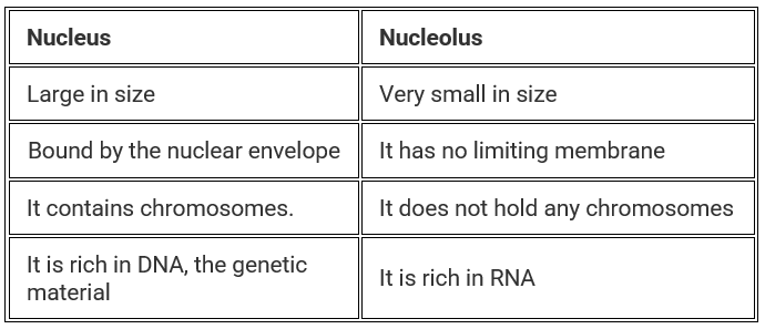 Cytoskeleton and Nucleus | Biology Class 11 - NEET