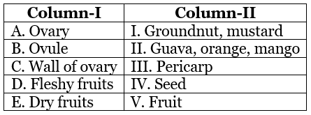DPP for NEET: Daily Practice Problems, Ch: Sexual Reproduction in Flowering Plants | Biology Class 12
